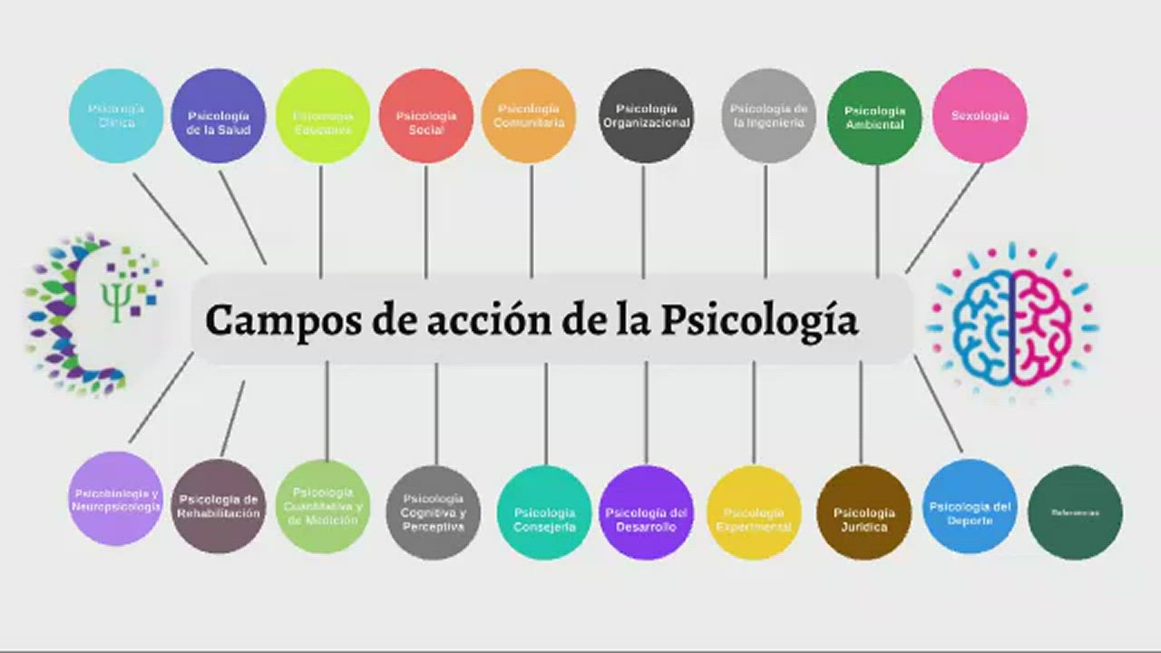 Campos De Actuacion De La Psicologia
