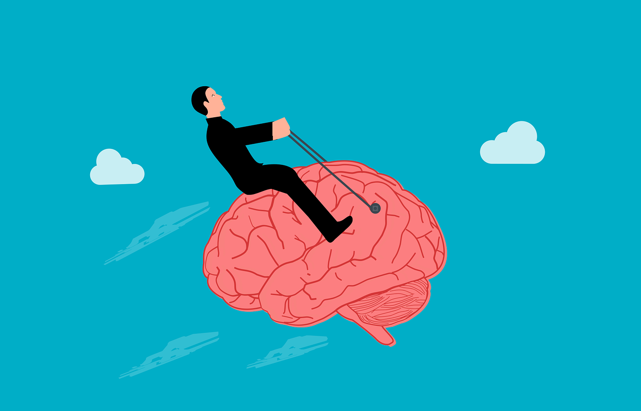 Diferencia entre instinto e impulso en psicología - Vida Emocional