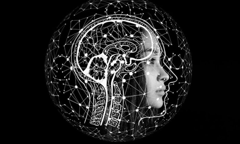 Importancia del sistema nervioso para la psicología - Vida Emocional