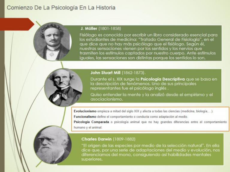 Definiciones De Psicologia De Diferentes Autores vidaemocional.org