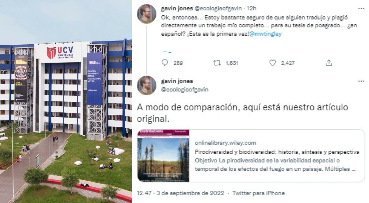 Promedio para estudiar Psicología en la UCV - Vida Emocional